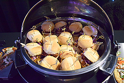 POWER AND BEAUTY CHARITY EVENT